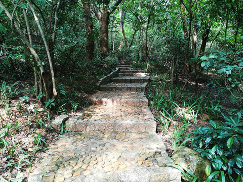 筆架山公園山路