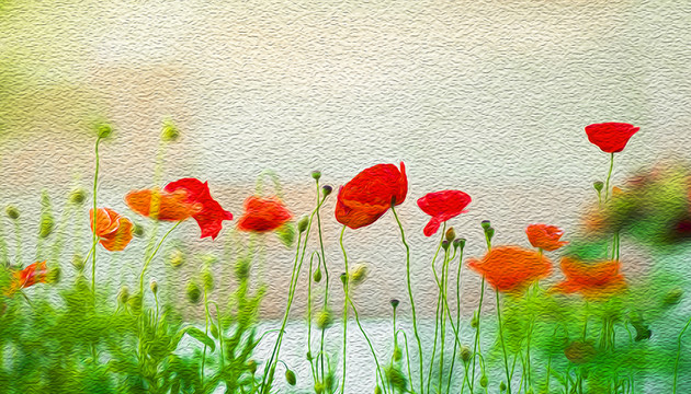 花卉油畫