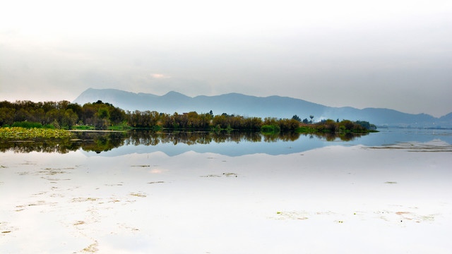 滇池 草海