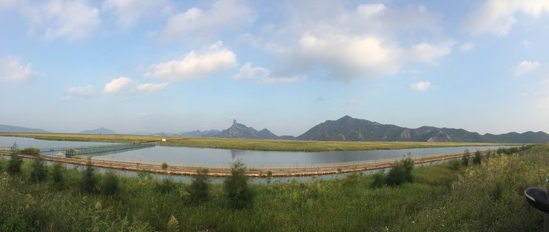 藍天池塘