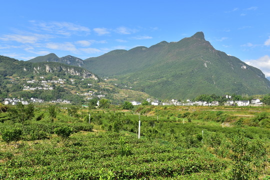 湖北恩施市麂子渡村落風(fēng)光風(fēng)景