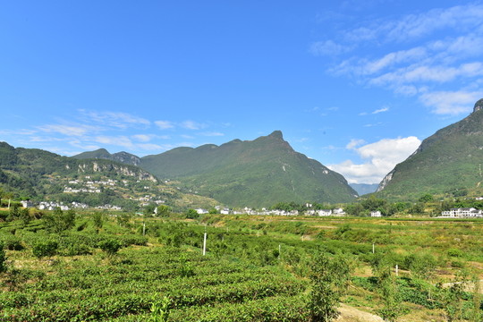 湖北恩施市麂子渡村落風(fēng)光風(fēng)景