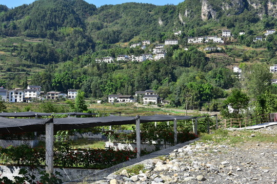 新農(nóng)村田野田園風(fēng)景