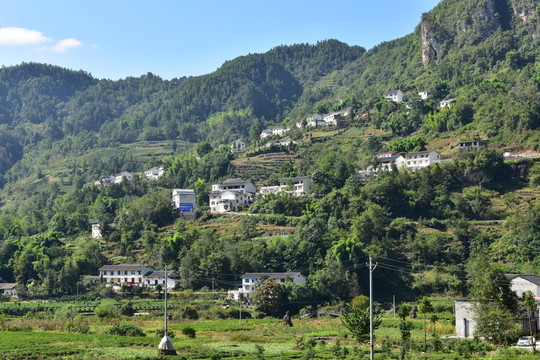 新農(nóng)村田野田園風景