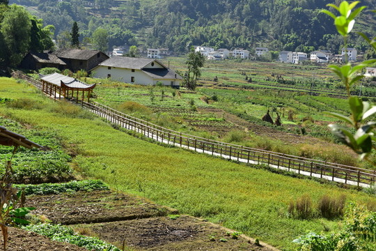 湖北恩施市麂子渡村落風(fēng)光風(fēng)景