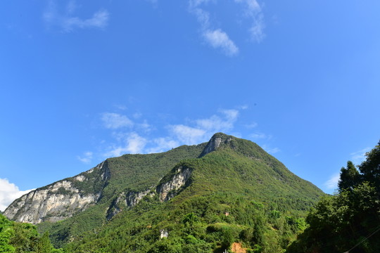 新農(nóng)村田野田園風景