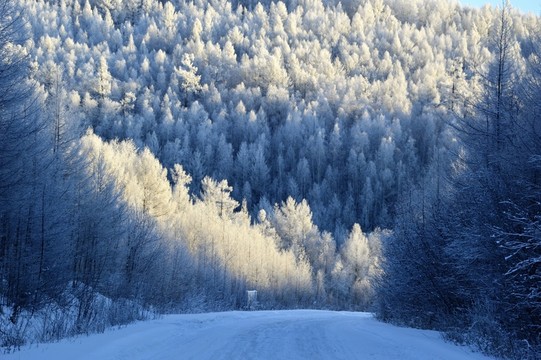 雪路