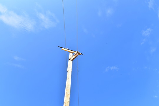 電線桿