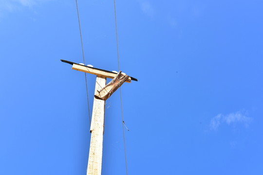 電線桿