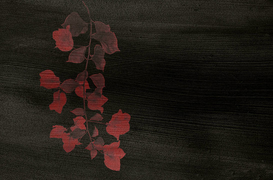 紅色印花黑色椰子佩普