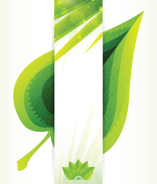 綠葉結(jié)構(gòu)