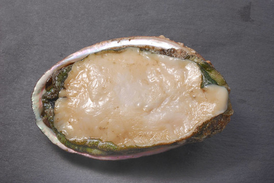 鮑魚