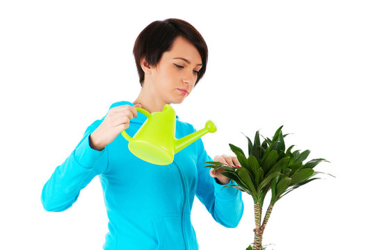 年輕女子澆水白色植物隔離