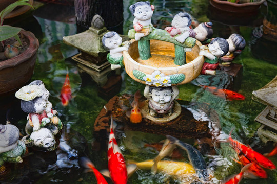 錦鯉魚在金山，金山寺。你可以看到所有的曼谷從金山。位于ratchadamnoen大道