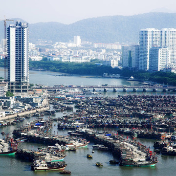 城市