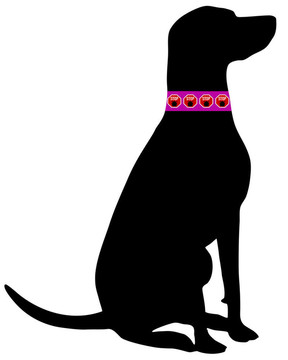 犬蜱項圈