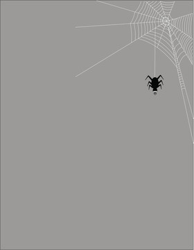 蜘蛛網(wǎng)