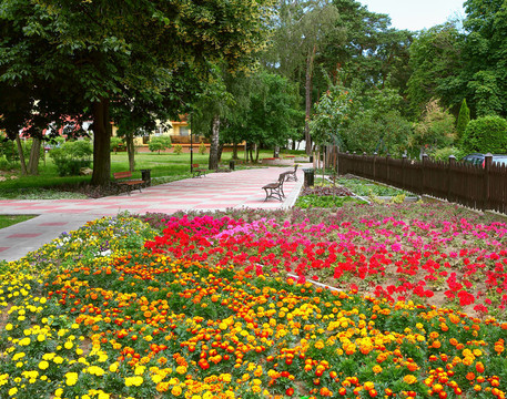 公園的小徑