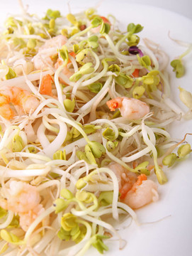 大豆豆芽蝦