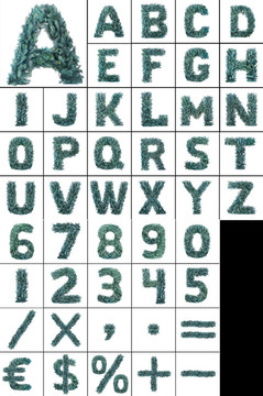 白色圣誕字母表
