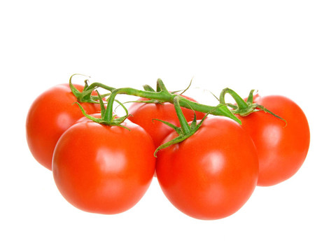 紅番茄