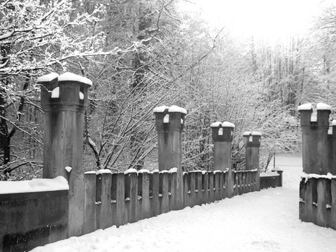 黑色和白色木雪馬道圖像