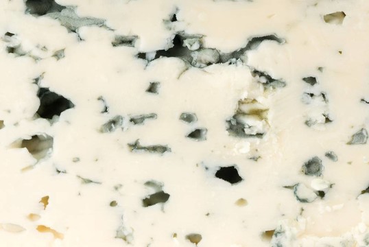 藍(lán)奶酪