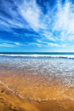 海