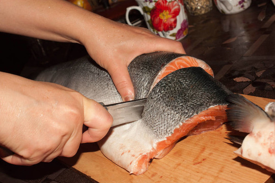 鮭魚(yú)
