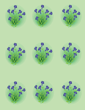 花卉裝飾