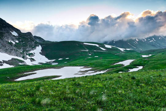 夏天的風景