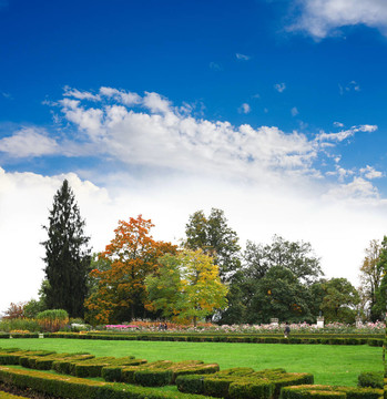 公園景觀