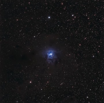 鳶尾花星云NGC 7023；