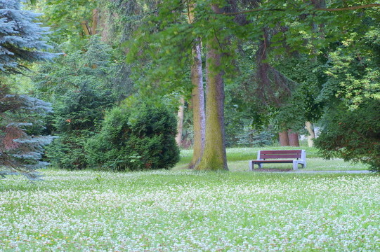 公園的長(zhǎng)椅上