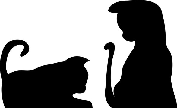 對(duì)貓的剪影