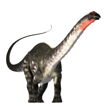apatasaurus