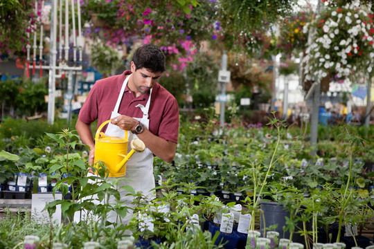 人給植物澆水