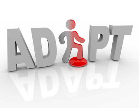 適應(yīng)按鈕改變成功的步驟