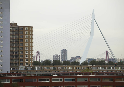鹿特丹橋