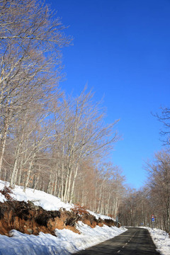 雪山路（Montseny；加泰羅尼亞；西班牙）
