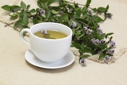 薄荷錫蘭茶/水薄荷/