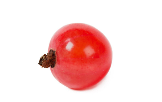 紅醋栗