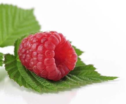 新鮮的raspberriy