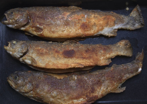 烤鮭魚(yú)