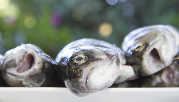 鱒魚(yú)的準(zhǔn)備