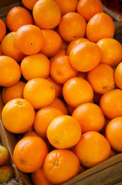 在一個(gè)箱子里的肚臍