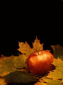 紅蘋果與楓葉在黑背景上分離