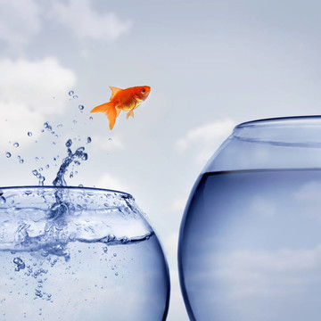 金魚從水里跳出來