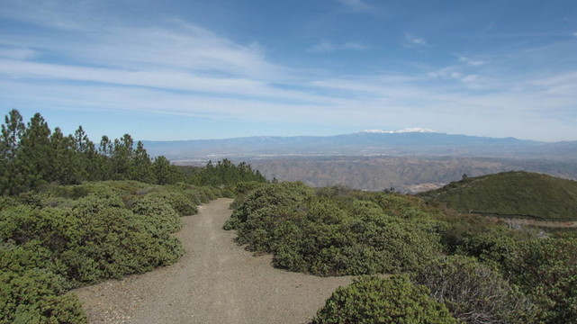 Los Pinos蹤跡