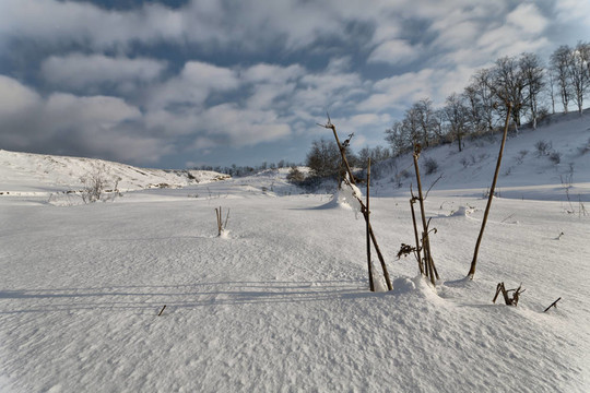雪6。
